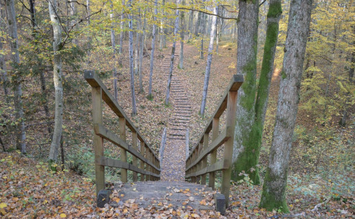 31. Šilpelkės pažintinis pėsčiųjų takas.jpg